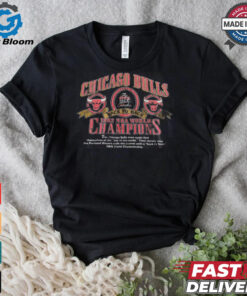 Vintage Chicago Bulls T shirt NBA 1992 World Champ Tee