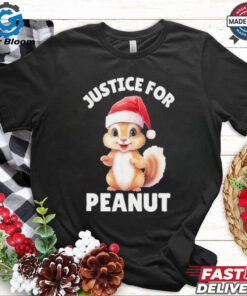 Funny Santa Hat Justice For Peanut The Squirrel Gift T Shirt