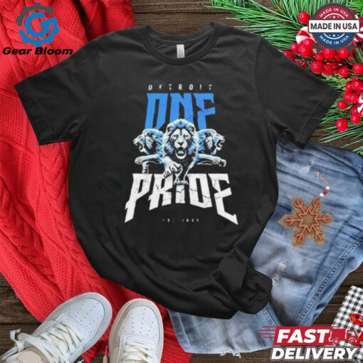 One Pride Detroit Lions Football Comfort Colors shirt