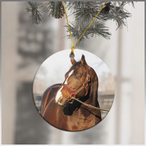 Love Horse Round Mica Ornament 3