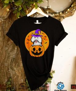 Halloween Poodle Dog Witch Hat Jackolantern Pumpkin T Shirt0