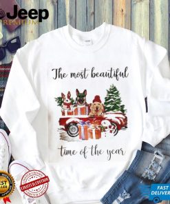 The Most Beautiful Time Of The Year Sweatshirt, Cute Dogs, Gift for Dog Lover