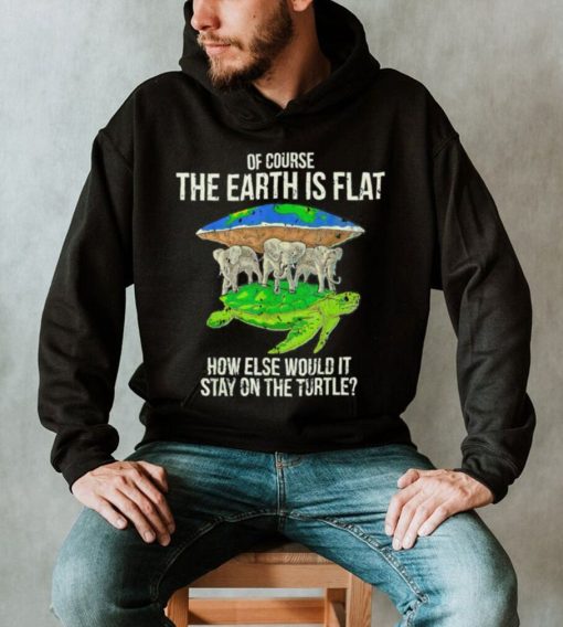 Turtle and Elephants of course the Earth is flat how else would it stay on the Turtle art shirt