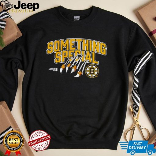 Boston Bruins 2023 Stanley Cup Playoffs Something Special t shirt