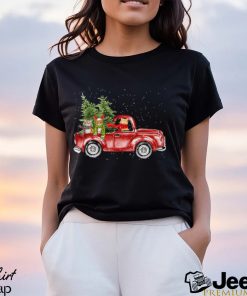 Cat truck xmas Shirt