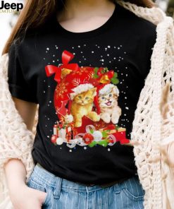 Cats Hat Santa Ball Red Glossy Merry Christmas Shirt