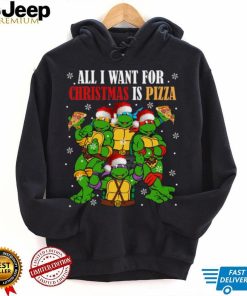 Vintage Ninja Turtle Shirt, Teenage Mutant Ninja Turles Pizza Tee, Ninja  Turtle Lovers Fan Shirt, Custom Gift Shirt