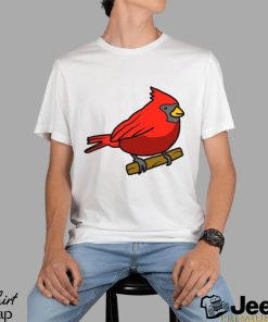 Corndoggylol Arizona Cardinals Logo Meme New shirt