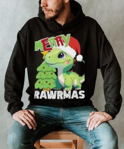 Cute Dinosaur Merry Rawrmas Christmas T Shirt