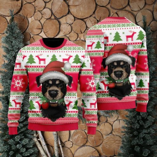 Dog Santas Hat Holiday Time Pattern Ugly Christmas Sweater Funny Gift For Men And Women Family Holidays