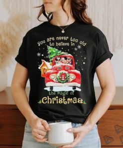 Dogs you are never too old to believe in Believe In The Magic Of Christmas shirt