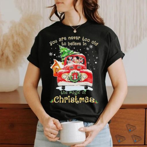 Dogs you are never too old to believe in Believe In The Magic Of Christmas shirt