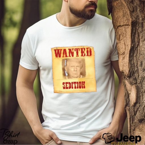 Donald Trump Wanted Sedition 2023 shirt