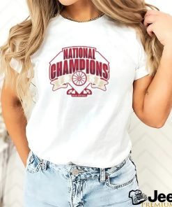 Fanatics Branded Gray Oklahoma Sooners 2023 Ncaa Softball Women's College World Series Champions shirt