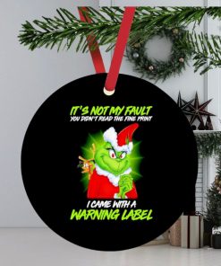 Grinch Santa it’s not my fault you didn’t read the fine print I came with a warning label ornament