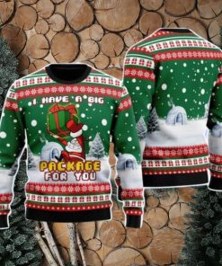 I Have A Big Package For You Christmas Unisex Ugly Sweater