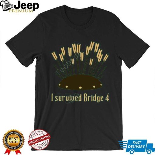 I Survived Bridge 4 And All I Got Was This Soup Tee Shirt