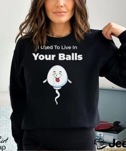 I Used To Live in Your Balls Silly Father’s day T Shirt