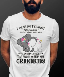 I Wouldn't Change My Grandkids For The World Buti Wish Shirt