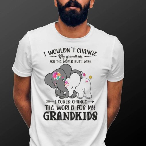 I Wouldn’t Change My Grandkids For The World Buti Wish Shirt