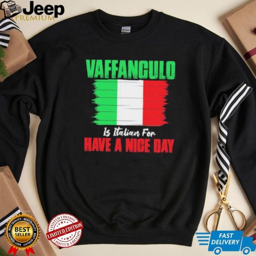 Italia Flag Art Vaffanculo Shirt