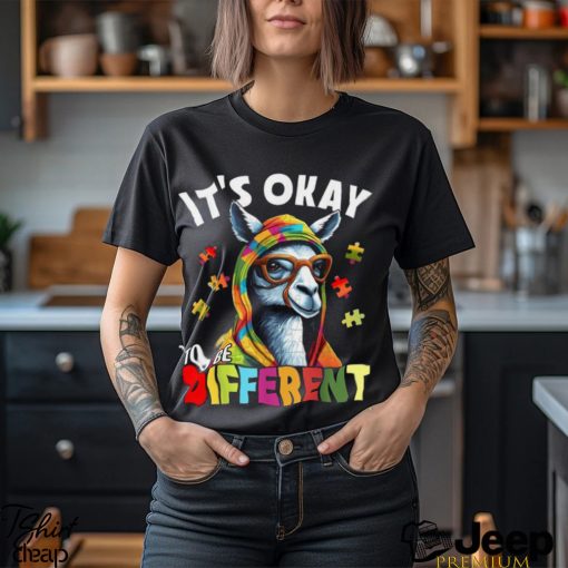 It’s Okay To Be Different Shirt