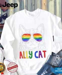 LGBT Ally Cat Be Kind Gay Rainbow Funny LGBTQ T Shirt