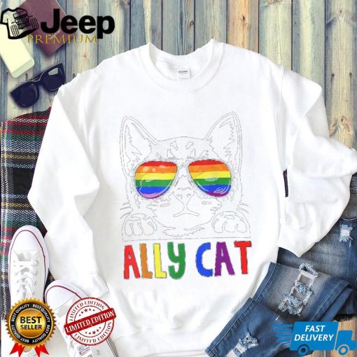 LGBT Ally Cat Be Kind Gay Rainbow Funny LGBTQ T Shirt