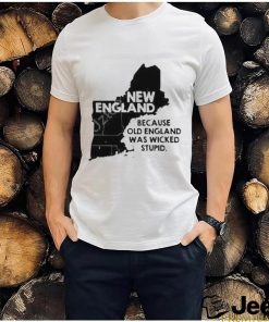 New England Because Old England Was Wicked Stupid Shirt