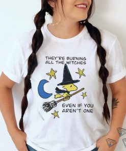 Original they’re Burning All The Witches Even If You Aren’t One Shirt