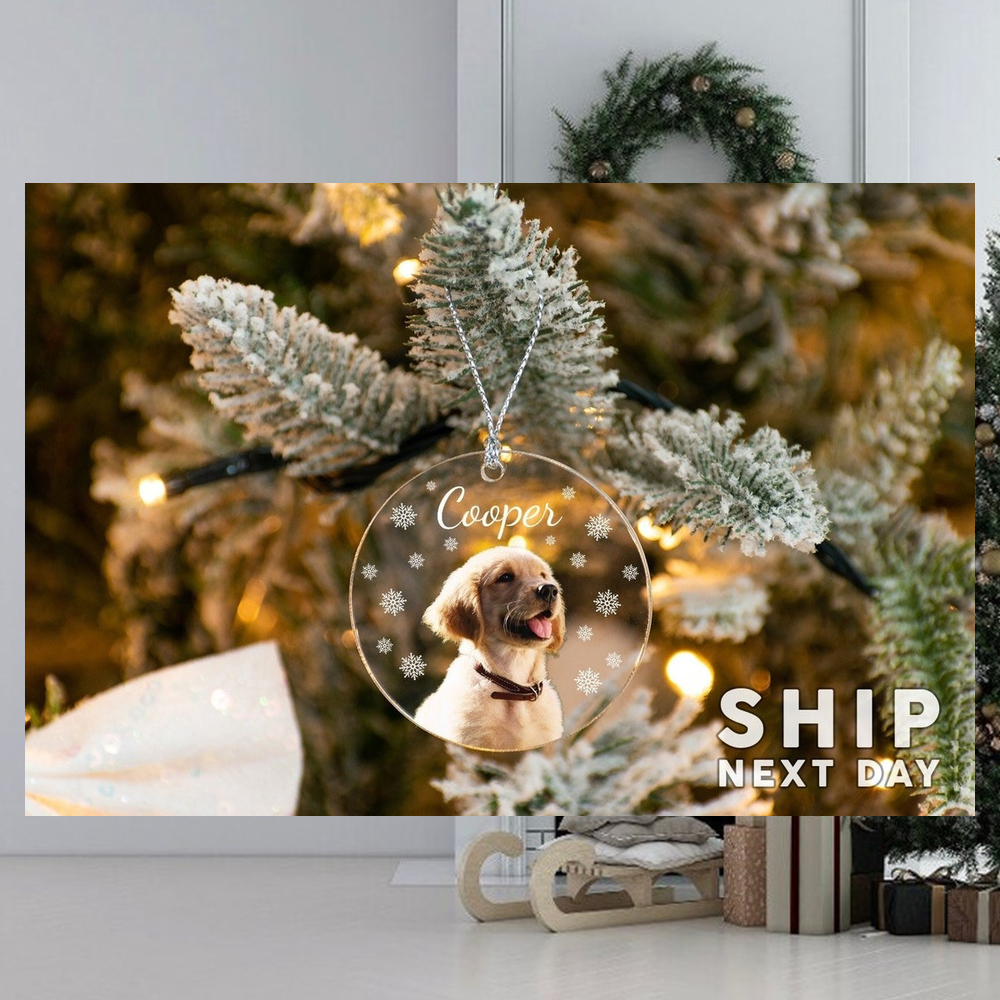 The Best Dog Christmas Gifts of 2023