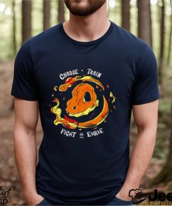 Pokemon Charmander skull fire choose train fight evolve 1996 shirt