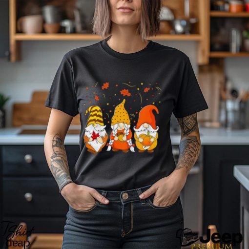 Pumpkin Gnomes Fall Shirt, Cute Thanksgiving T Shirt, Thanksgiving Gnome, Fall Vibes, Thanksgiving Gift