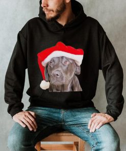 Santa Hat Christmas Dog Labrador Retriever shirt