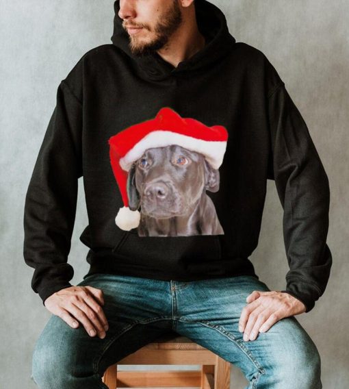 Santa Hat Christmas Dog Labrador Retriever shirt