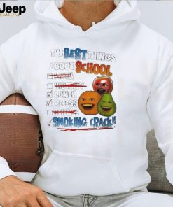 The Best Things About School Annoying Orange Shirt