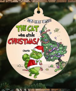 The Cat Who Stole Christmas, Personalized Naughty Cat Ornament, Gift For Christmas