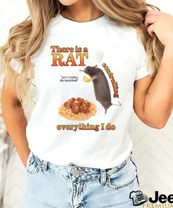 There Is A Rat Controlling Everything I Do Hooded Sweatshirt