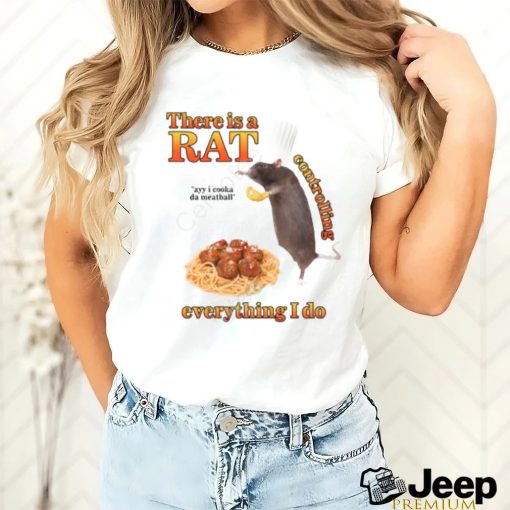 There Is A Rat Controlling Everything I Do Hooded Sweatshirt