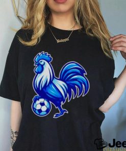 Tottenham Hotspur soccer shirt