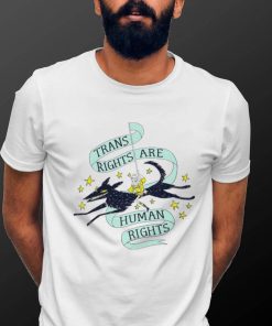 Trans Rights are human rights art shirt