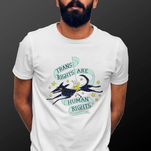 Trans Rights are human rights art shirt