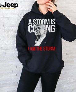 A Storm Is Coming I Am The Storm Donald Trump T Shirt