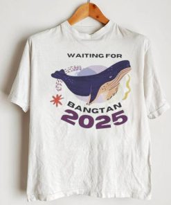 BTS We are Waitting for You 2025 Reunion T Shirt