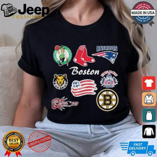 Boston Sports Teams 2024 Vintage Logo Shirt