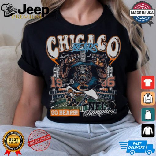 Chicago Bears Nfl Champion shirt