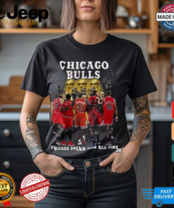 Chicago Bulls Chicago Dream Team All Time T Shirt