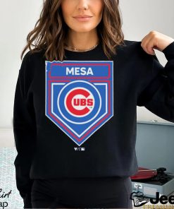 Chicago Cubs 2024 Spring Training Logo Shirt