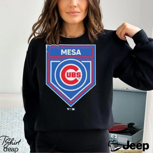 Chicago Cubs 2024 Spring Training Logo Shirt