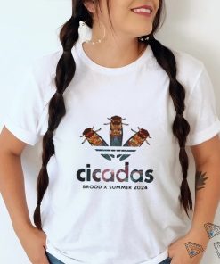 Cicadas BROOD X SUMMER Cicada 2024 T Shirt